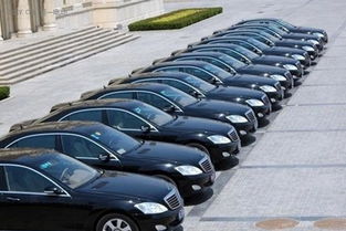 麗水市印發新能源汽車推廣計劃 2016年目標超900輛，廣州汽車租賃行業積極響應